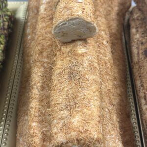 Kadaifi Coated Turkish Delight With Hazelnut And Hazelnut Cream